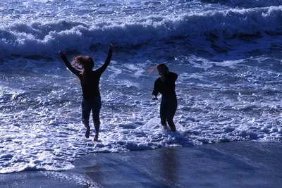 DSC_0484 (Large).JPG